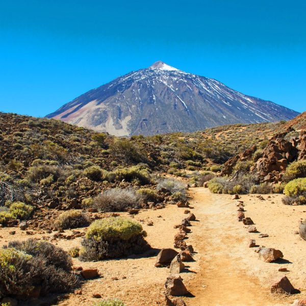Teneriffa Aktiv: Wanderparadies zwischen Vulkanen und Küsten