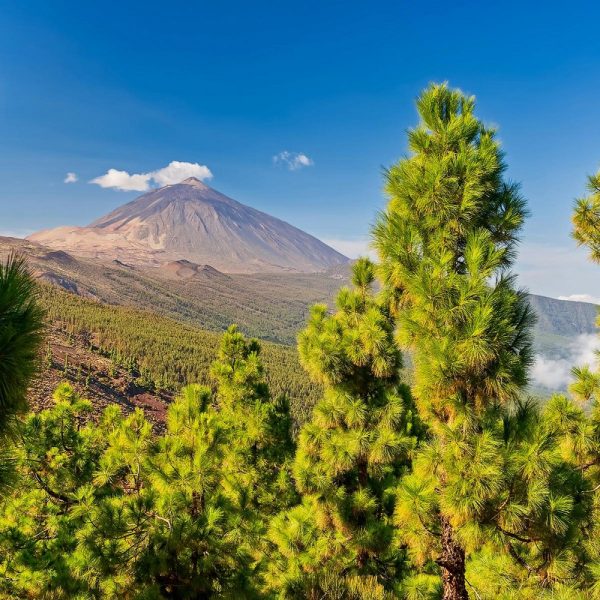 Teneriffa Aktiv: Wanderparadies zwischen Vulkanen und Küsten