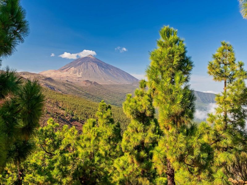 Teneriffa Aktiv: Wanderparadies zwischen Vulkanen und Küsten