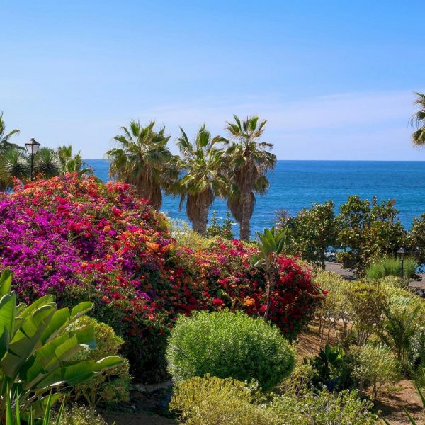 Teneriffa Aktiv: Wanderparadies zwischen Vulkanen und Küsten