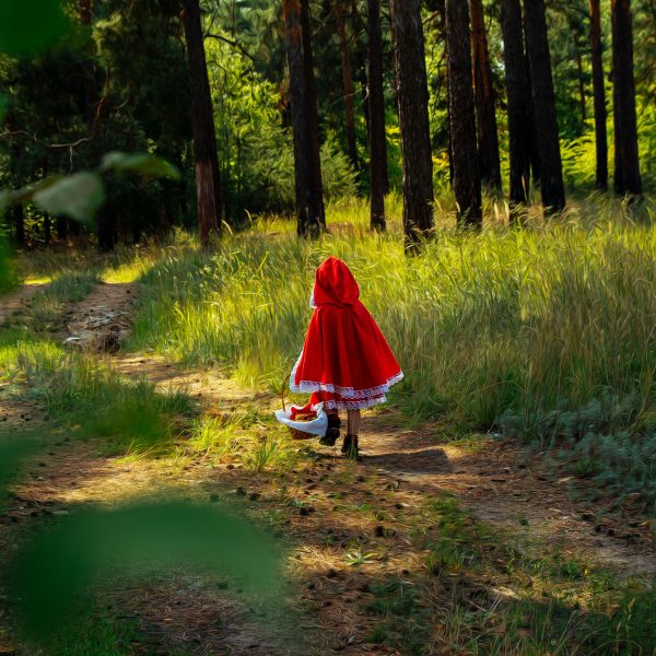 Tagesfahrt „Rotkäppchen“ – Märcheninszenierung der Landesbühnen Sachsen