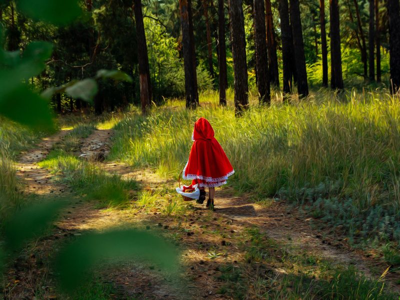 Tagesfahrt „Rotkäppchen“ – Märcheninszenierung der Landesbühnen Sachsen