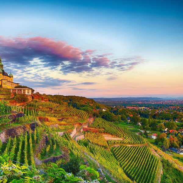 Tagesfahrt „Rotkäppchen“ – Märcheninszenierung der Landesbühnen Sachsen - Radebeul