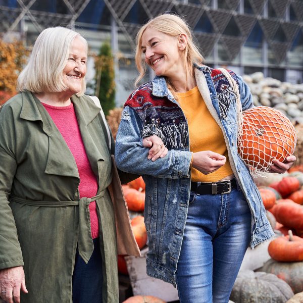 Tagesfahrt Dresden: Erfindergeist trifft Kürbispracht