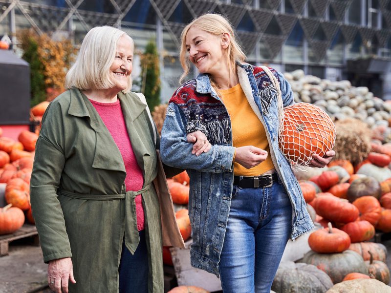 Tagesfahrt Dresden: Erfindergeist trifft Kürbispracht