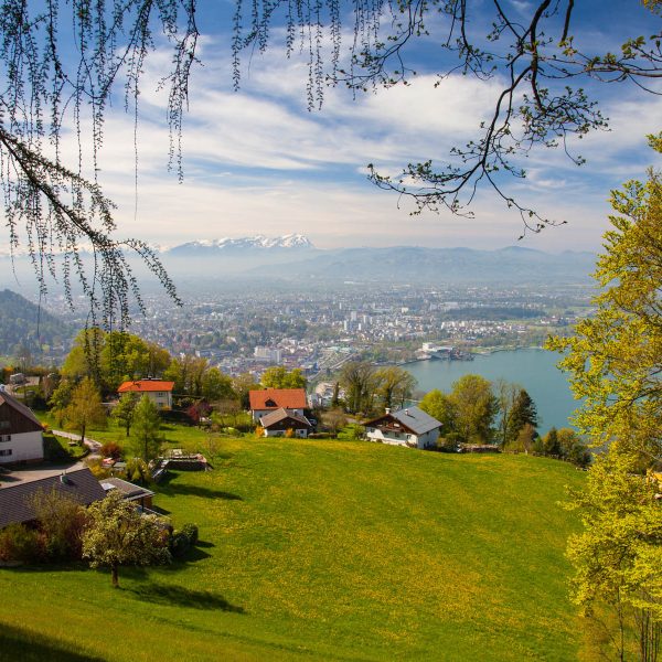 Busreise Schmankerl Bregenzer Festspiele: Aussicht vom Pfänder