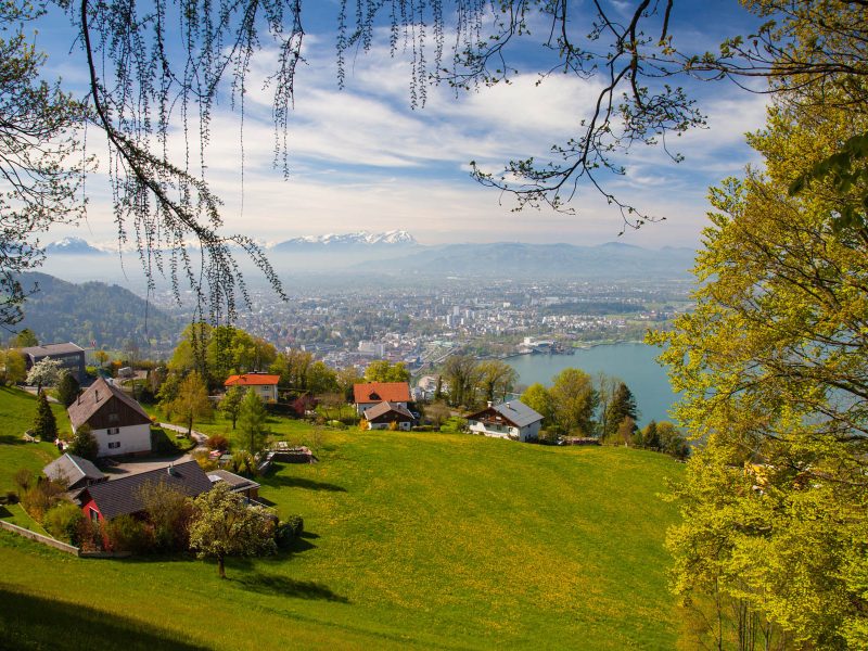 Busreise Schmankerl Bregenzer Festspiele: Aussicht vom Pfänder