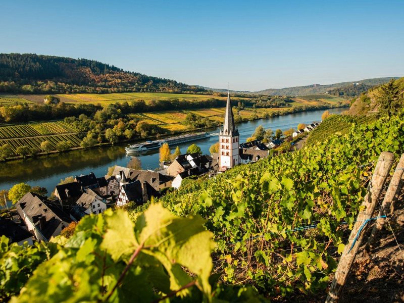 Flusskreuzfahrt Rhein und Mosel zur Saarschleife:  Zell