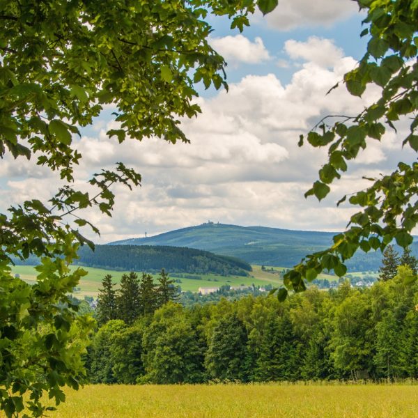 Busreise Osterfrühling auf den Höhen Oberwiesenthals