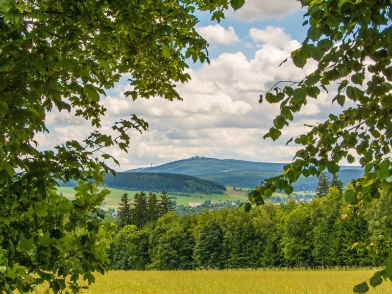 Busreise Osterfrühling auf den Höhen Oberwiesenthals