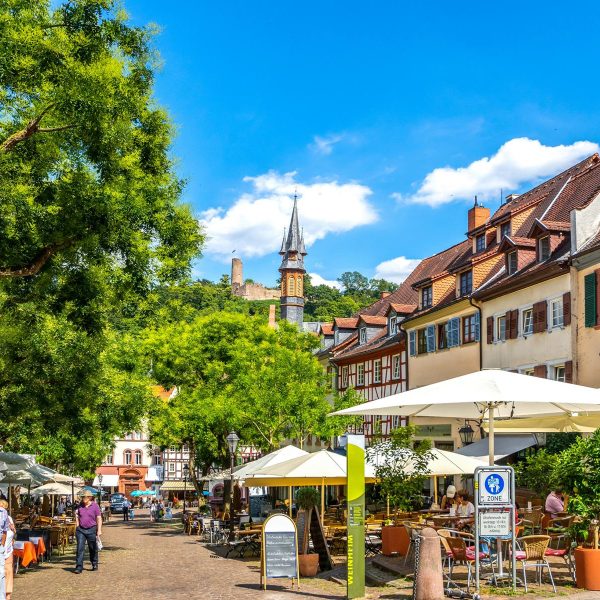 Busreise Singlereise Schwarzwald: Badische Weinstraße