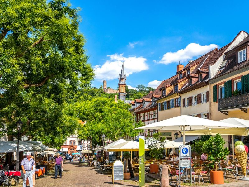 Busreise Singlereise Schwarzwald: Badische Weinstraße