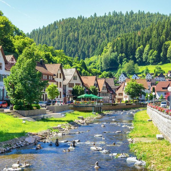 Busreise Singlereise Schwarzwald