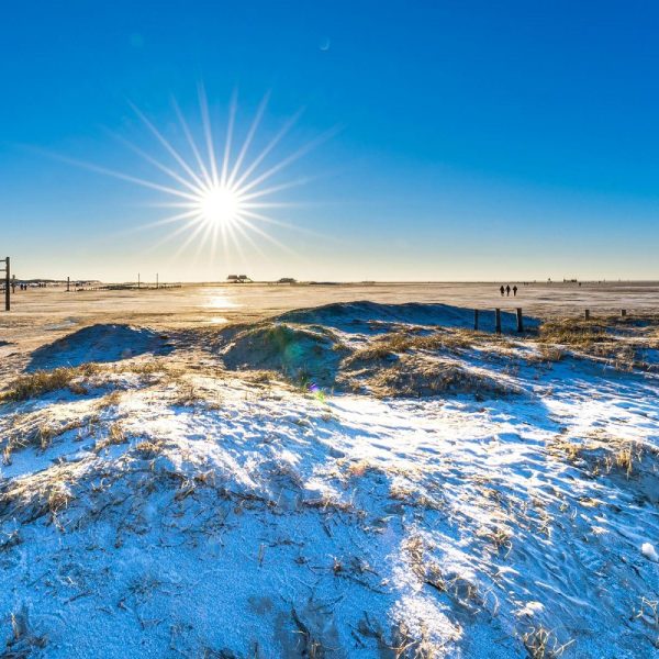 Busreise Friesen-Flair & Weihnachts-Meer! Willkommen in Jever: Ostfriesland