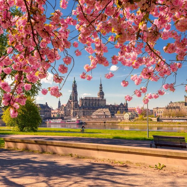 Busreise Hasenstarke Ostern in Dresden