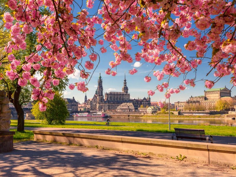 Busreise Hasenstarke Ostern in Dresden