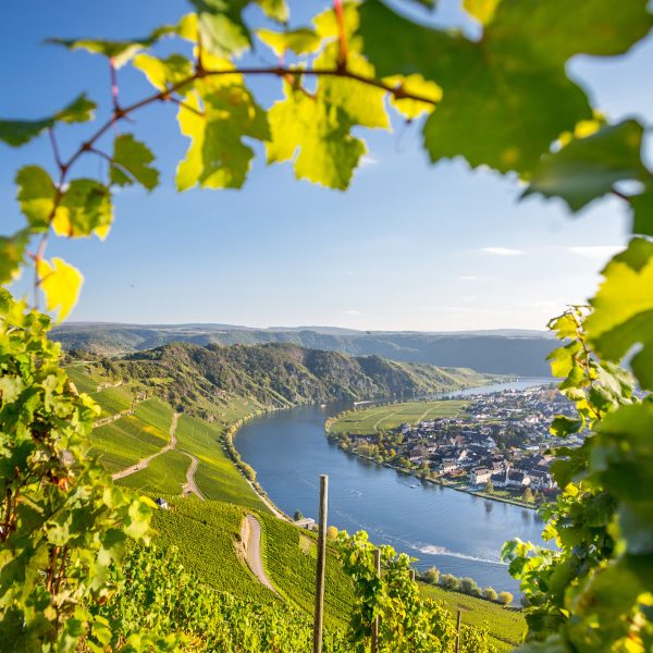 Busreise Mosel-Momente - Kultur & Herzenslust: Mosel-Panorama
