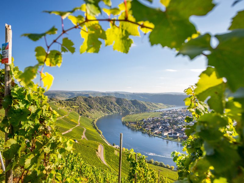 Busreise Mosel-Momente - Kultur & Herzenslust: Mosel-Panorama