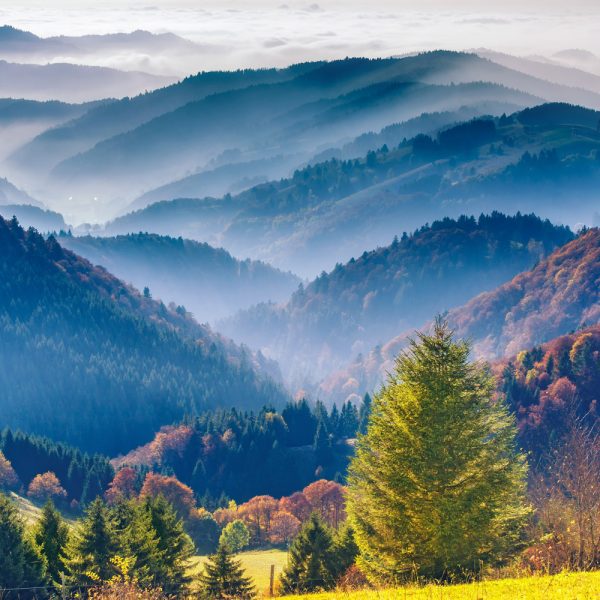 Busreise 7 Tage reisen - 5 Länder erfahren: Rundfahrt durch den Südschwarzwald
