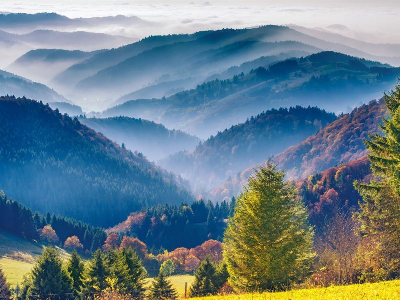 Busreise 7 Tage reisen - 5 Länder erfahren: Rundfahrt durch den Südschwarzwald