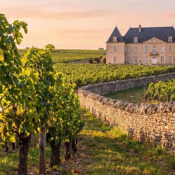 Busreise Gartenreise Queerbet ins Burgund