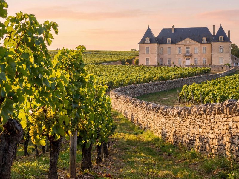 Busreise Gartenreise Queerbet ins Burgund