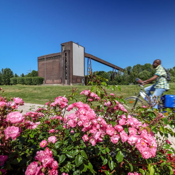 Busreise Internationale Gartenausstellung - Die Zukunft blüht! © IGA 2027/Oberhäuser