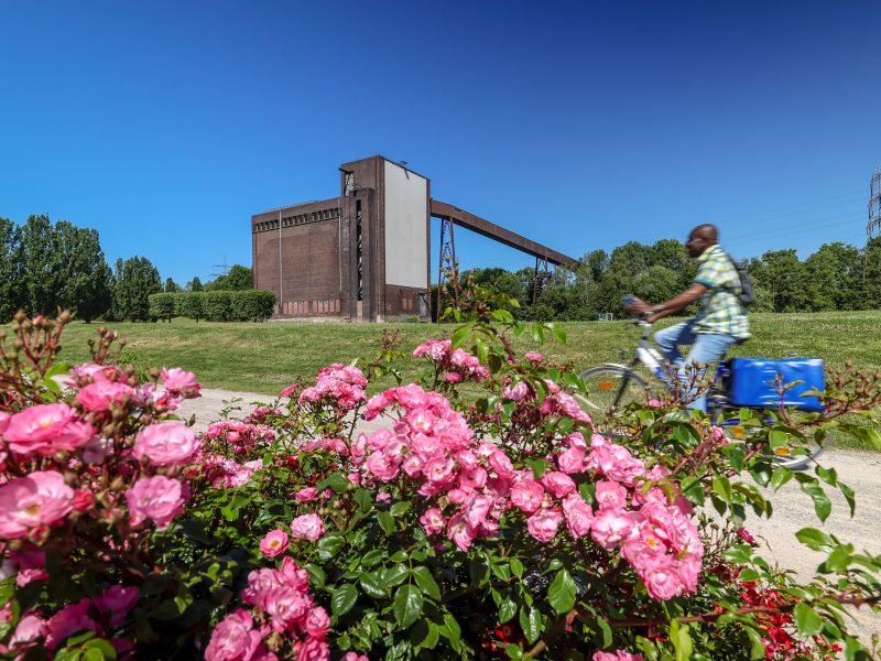 Busreise Internationale Gartenausstellung - Die Zukunft blüht! © IGA 2027/Oberhäuser
