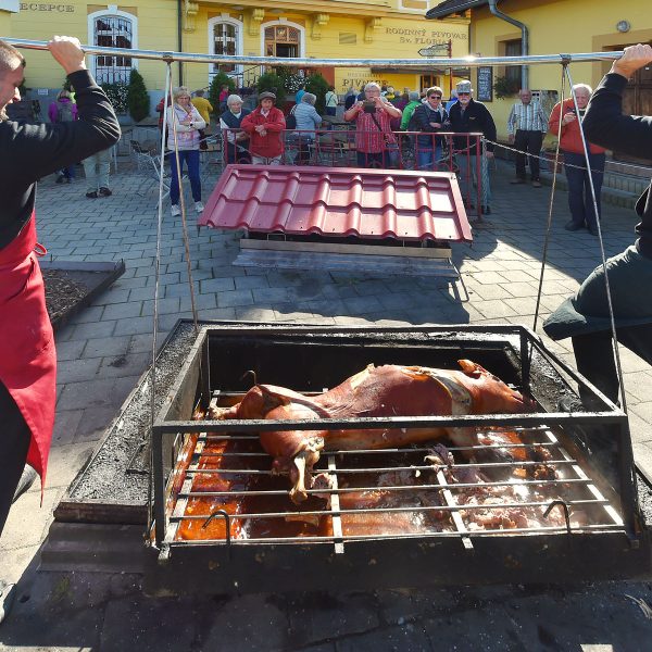 Busreise Erdschweinessen in Loket