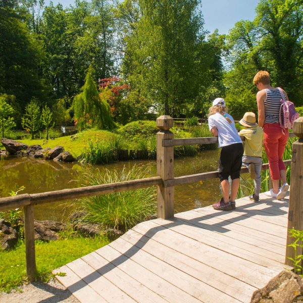 Busreise Slowenischer Blütenrausch - Arboretum Volcji Potok