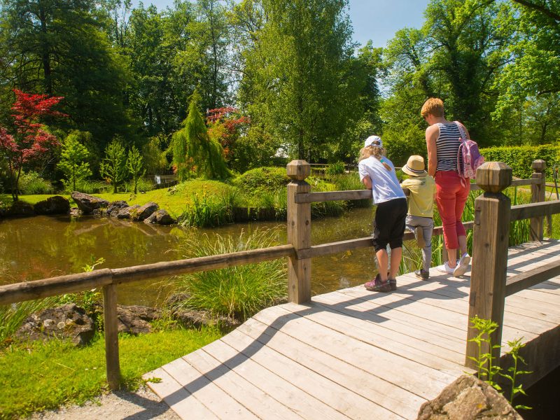Busreise Slowenischer Blütenrausch - Arboretum Volcji Potok
