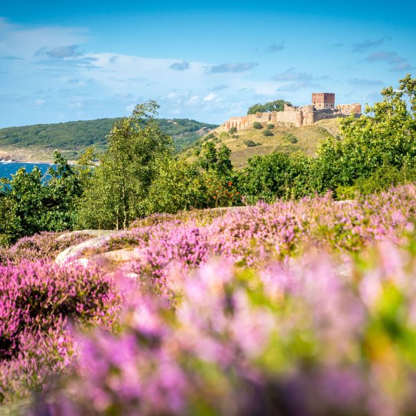 Busreise Bornholm erwandern