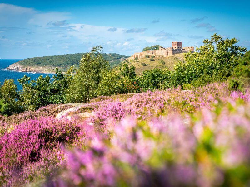 Busreise Bornholm erwandern