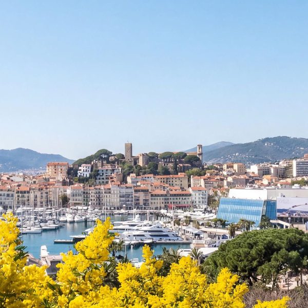 Busreise Mimosenfest an der Côte d´Azur - Cannes