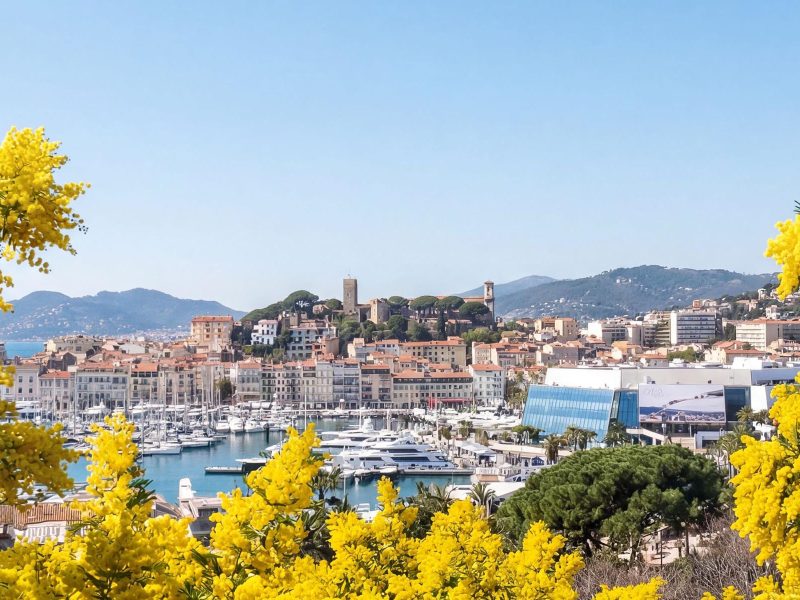 Busreise Mimosenfest an der Côte d´Azur - Cannes