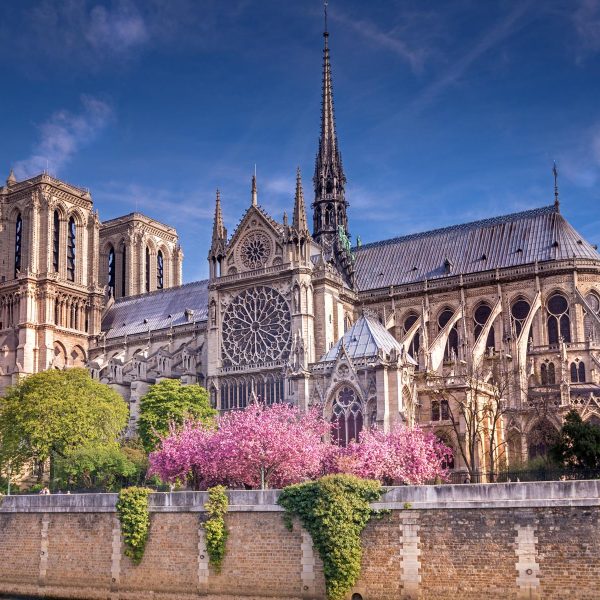 Flugreise Bonjour Paris - Notre-Dame