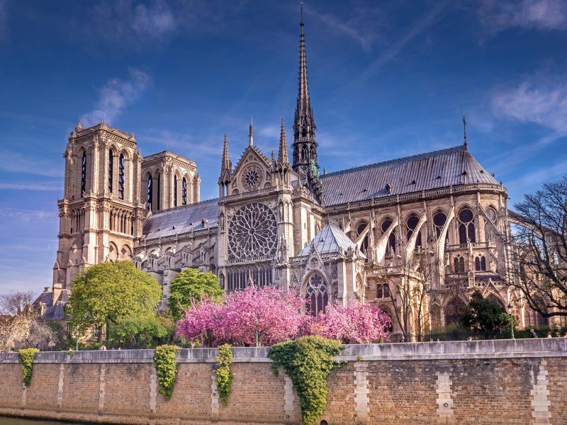 Flugreise Bonjour Paris - Notre-Dame