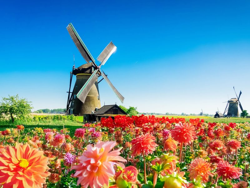 Flusskreuzfahrt Nordhollands Perlen
