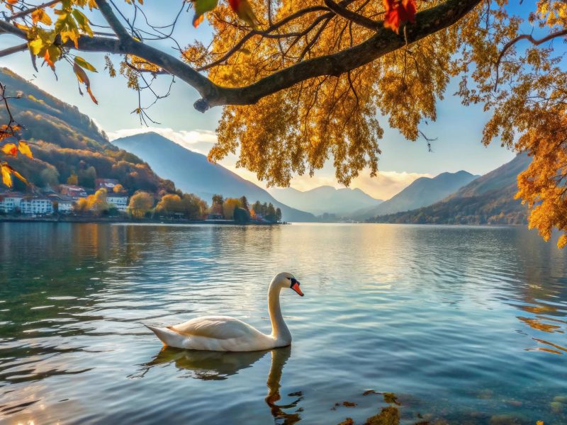 Busreise Comer See & Luganer See