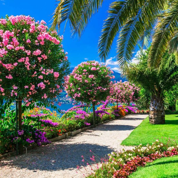 Busreise Italiens blühende Seenlandschaft - Isola Madre