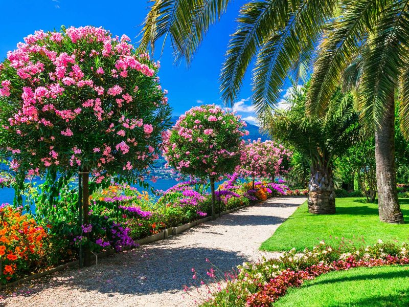 Busreise Italiens blühende Seenlandschaft - Isola Madre