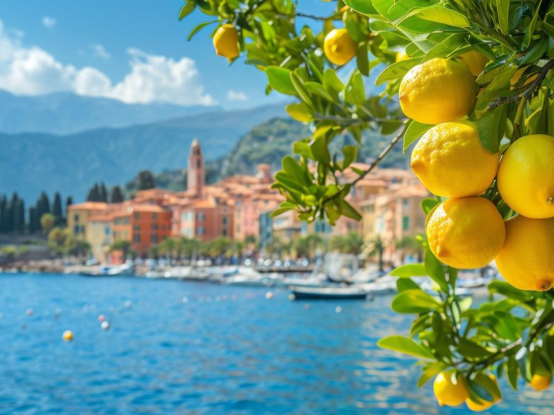 Busreise Zitronenzauber & Blütenpracht - Menton
