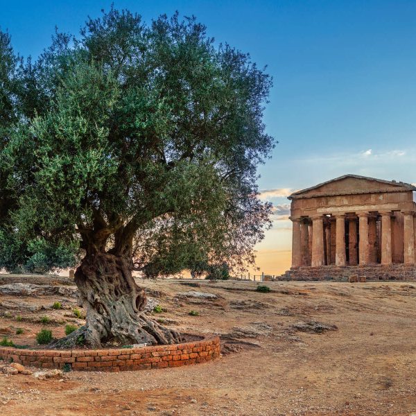 Busreise Rundreise Sizilien - antik und feurig: Agrigento