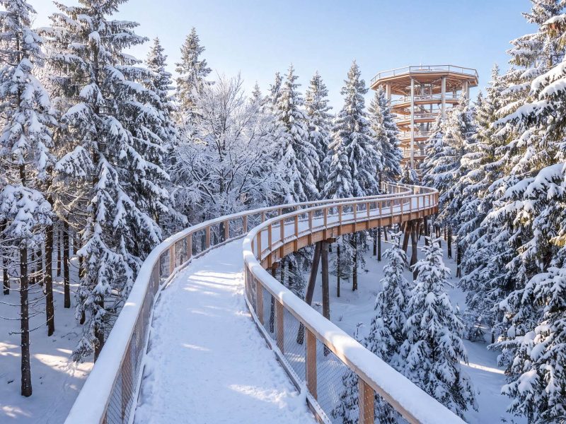 Busreise Sloweniens Schneeträume - Sloweniens erster Baumwipfelpfad