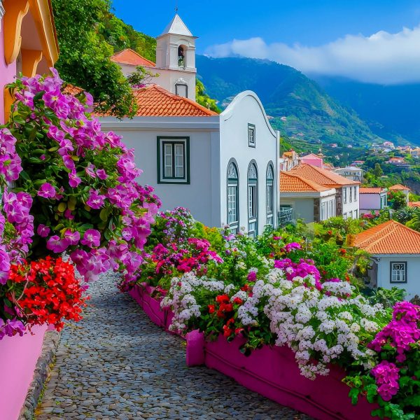 Flugreise Madeira - Blumeninsel im Atlantik