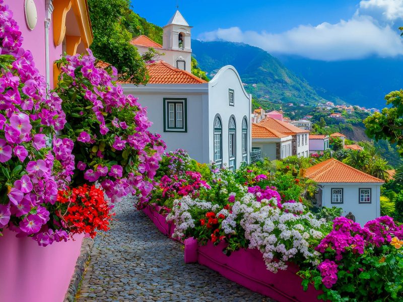Flugreise Madeira - Blumeninsel im Atlantik