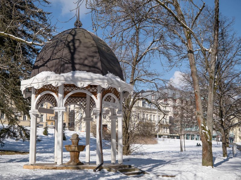 Busreise Gesund und Vital durch den Winter