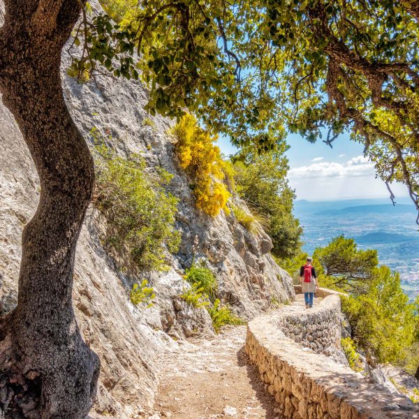 Flugreise Die schönsten Wanderungen Mallorcas