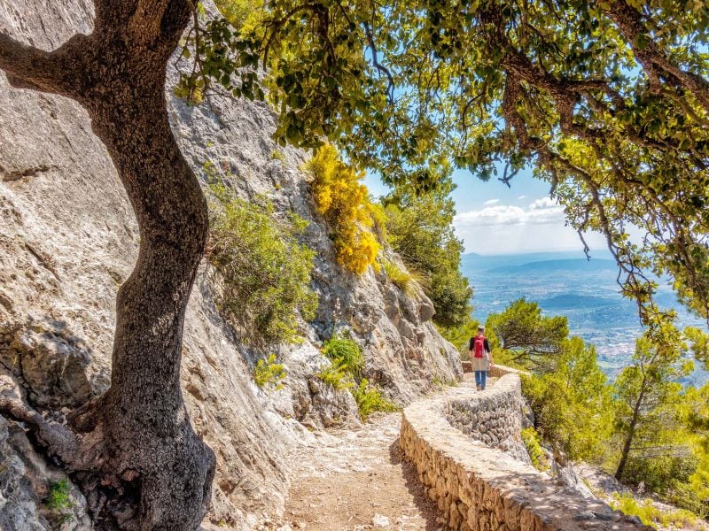 Flugreise Die schönsten Wanderungen Mallorcas