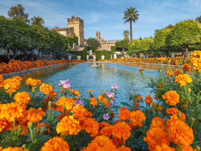 Flugreise Andalusien in seiner ganzen Pracht - Cordoba